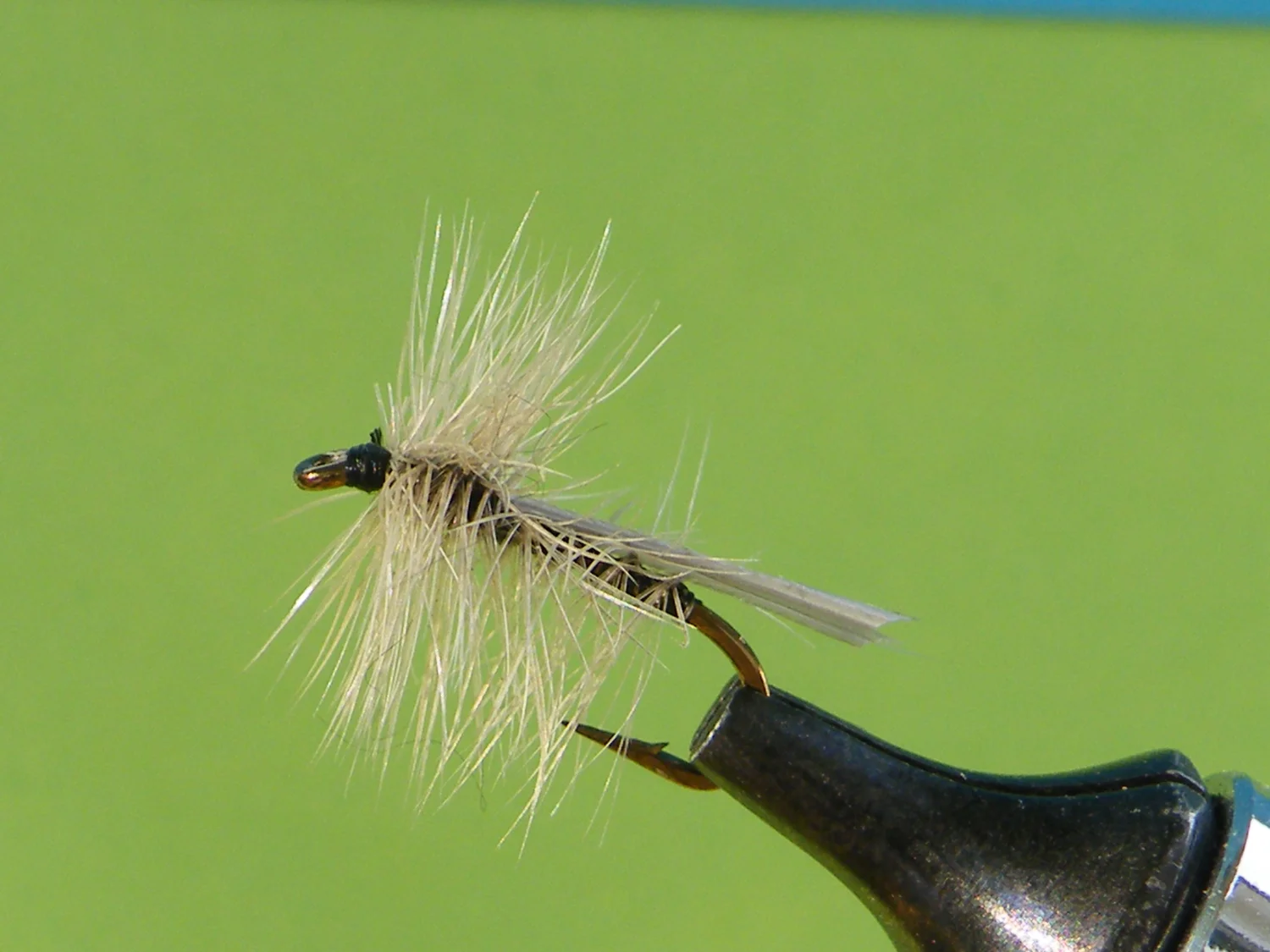 Stonefly Collector's Edition ストーンフライ Stonefly Collector's Edition ストーンフライ Salmonflies
